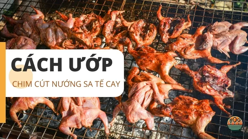 Cách ướp cút nướng sa tế cay